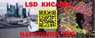 индика Дмитров
