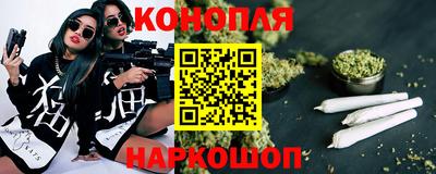 индика Дмитров