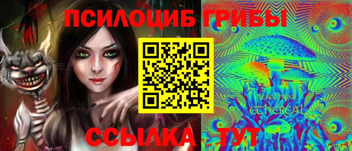 Сызрань  Псилоцибиновые грибы Cubensis  даркнет сайт  Вход с VPN  Псилоцибиновые грибы прущие грибы 