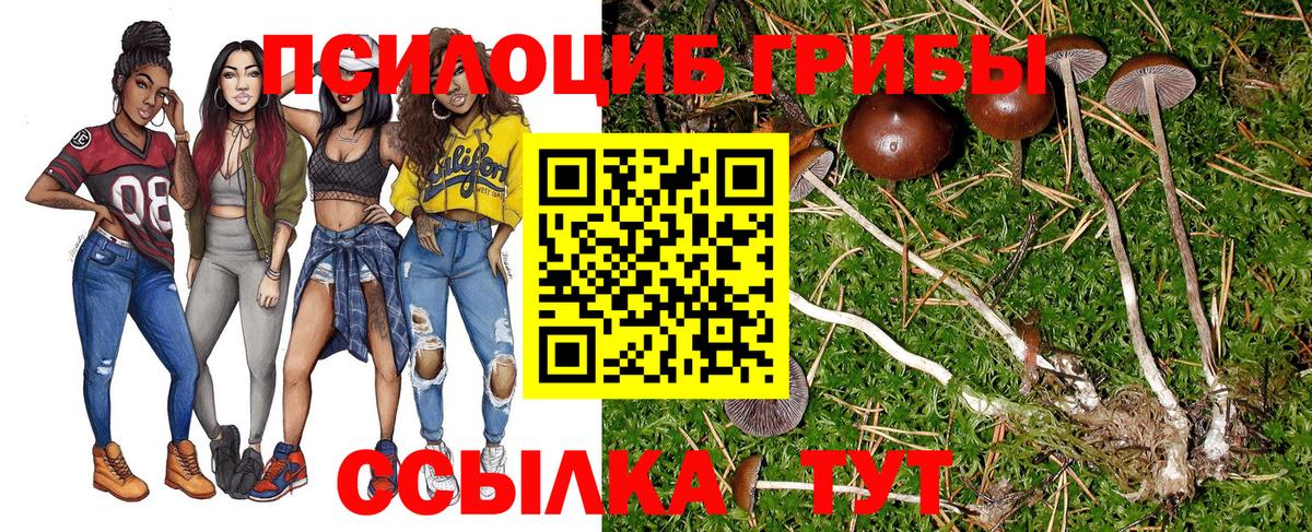 Галлюциногенные грибы MAGIC MUSHROOMS Сызрань
